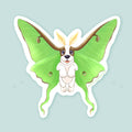 Artwork of a basset hound puppy with green luna moth wings for ears.